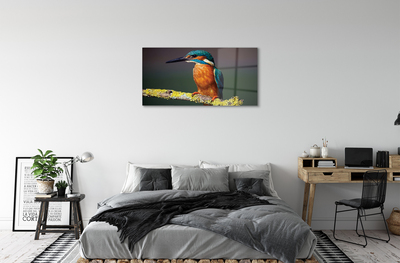 Foto op plexiglas Een kleurrijke vogel op een tak