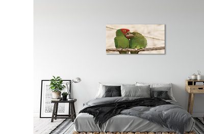 Foto op plexiglas Groene papegaai