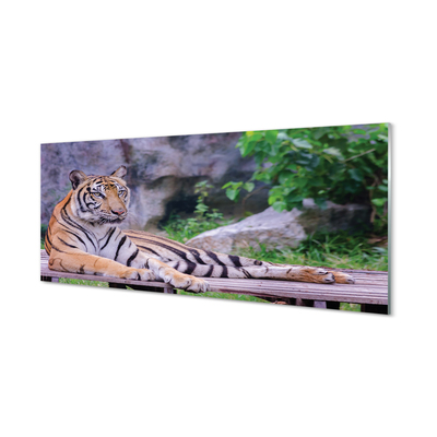 Plexiglas foto Tijger in de dierentuin