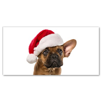 Foto op plexiglas Bulldog Hond van Kerstmis
