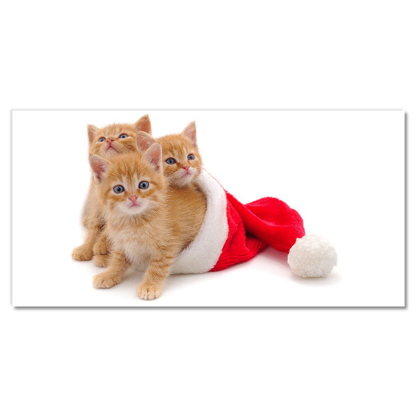 Plexiglas schilderij Katten Kerstmis de Kerstman