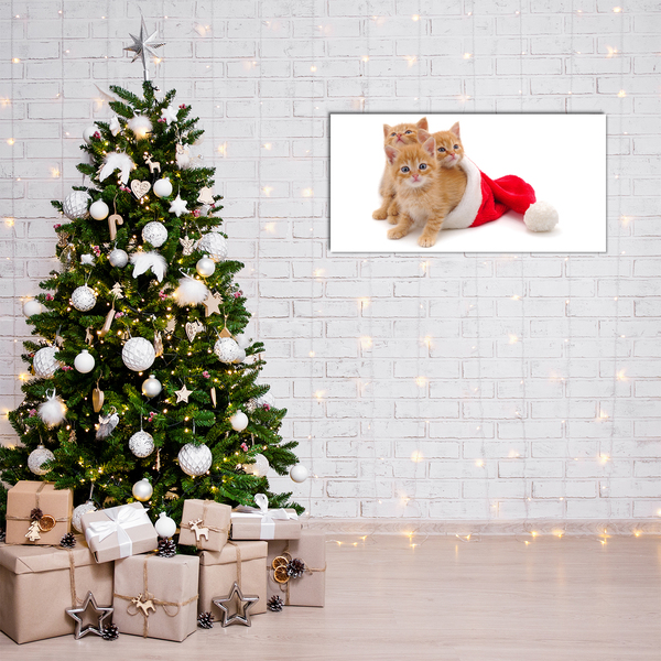 Plexiglas schilderij Katten Kerstmis de Kerstman