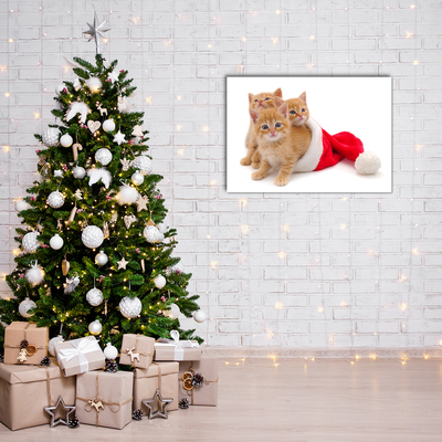 Plexiglas schilderij Katten Kerstmis de Kerstman