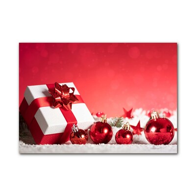 Plexiglas schilderij Christmas Gift Christmas Snow