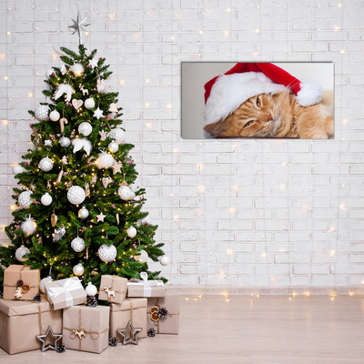 Plexiglas schilderij Cat Santa Hat Kerstmis