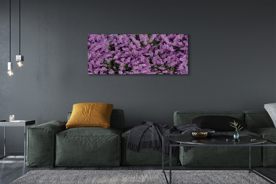 Schilderij canvas Paarse bloemen