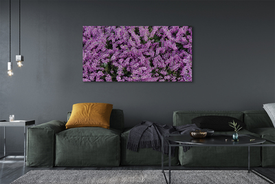 Schilderij canvas Paarse bloemen