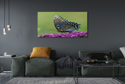 Foto op canvas Kleurrijke vlinder op bloemen