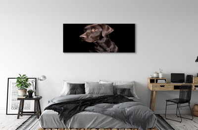 Schilderij op canvas Bruine hond