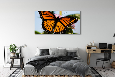 Foto op canvas Kleurrijke vlinder