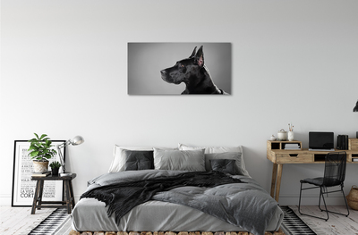 Schilderij op canvas Zwarte hond