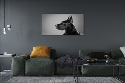 Schilderij op canvas Zwarte hond