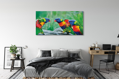 Foto op canvas Kleurrijke papegaaiboom