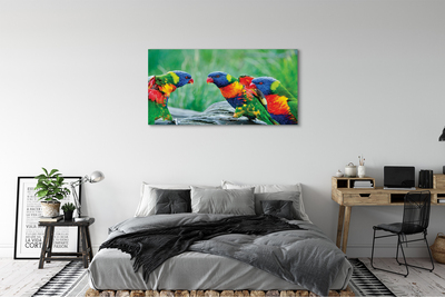 Foto op canvas Kleurrijke papegaaiboom