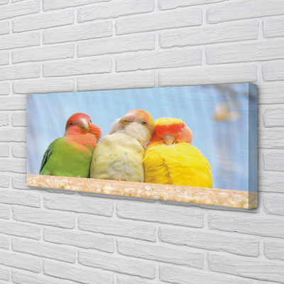 Foto op canvas Kleurrijke papegaaien