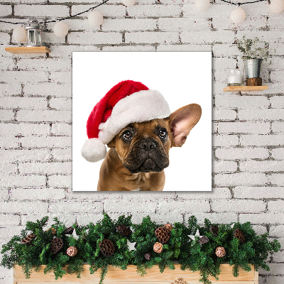 Canvas foto Bulldog Hond van Kerstmis