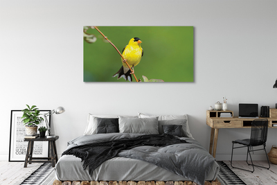 Foto op canvas Gele papegaai