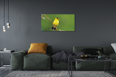 Foto op canvas Gele papegaai