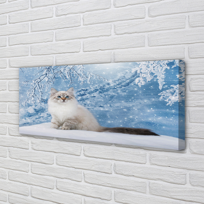 Foto op canvas Kat in de winter