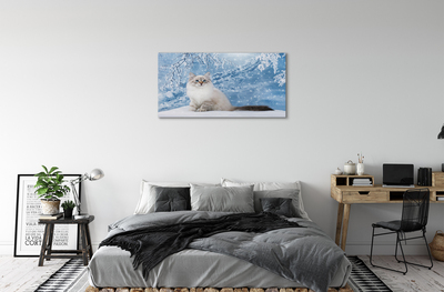Foto op canvas Kat in de winter
