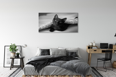 Foto op canvas Kat onder het dekbed