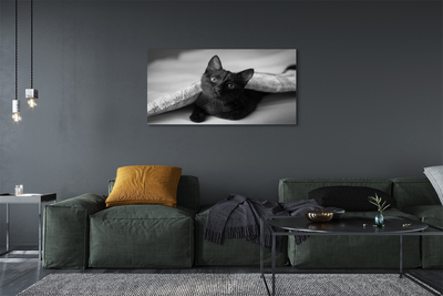 Foto op canvas Kat onder het dekbed