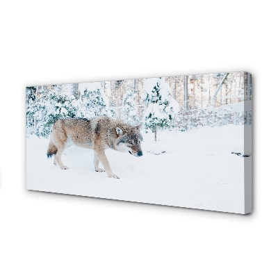 Foto op canvas Wolf winter forest