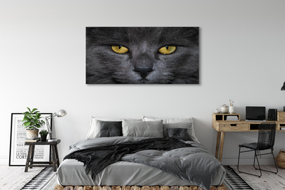 Foto op canvas Zwarte kat