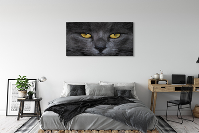 Foto op canvas Zwarte kat