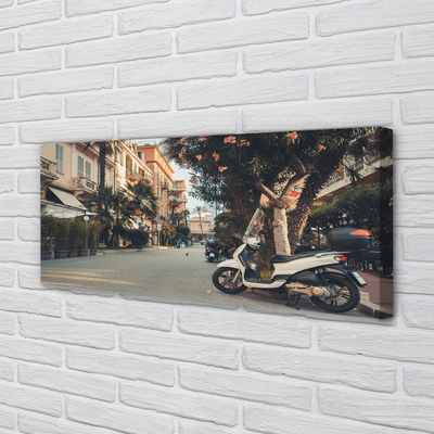 Schilderijen op canvas doek Motorfietsen palm city zomer