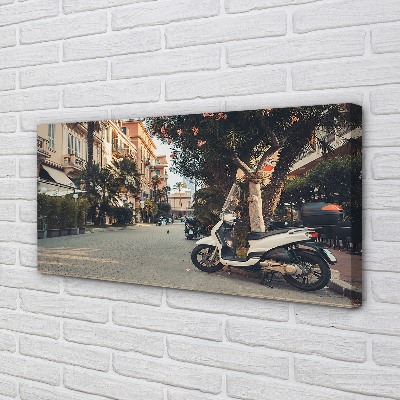 Schilderijen op canvas doek Motorfietsen palm city zomer