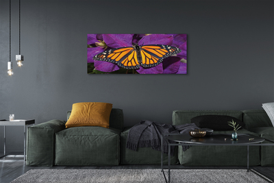 Foto op canvas Kleurrijke vlinderbloemen