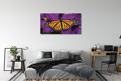 Foto op canvas Kleurrijke vlinderbloemen