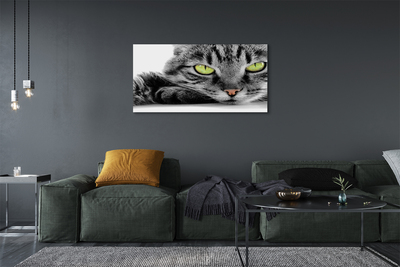 Foto op canvas Gray-black cat