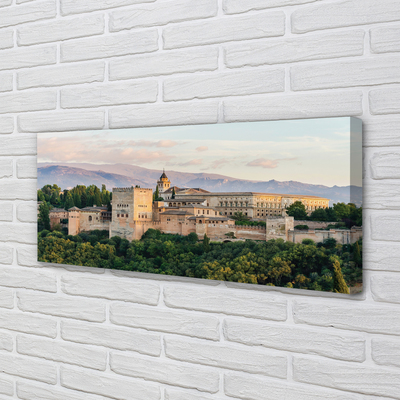 Foto op canvas Spanje kasteel bos bergen