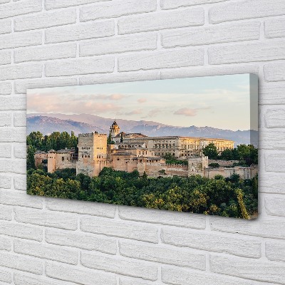 Foto op canvas Spanje kasteel bos bergen