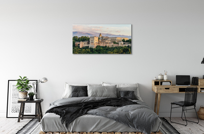 Foto op canvas Spanje kasteel bos bergen