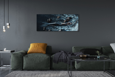 Schilderij canvas Sirene zee