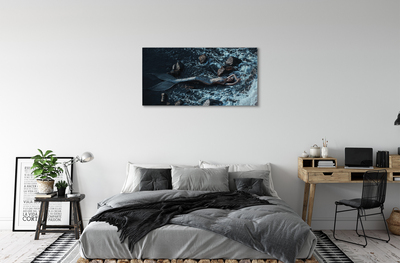 Schilderij canvas Sirene zee