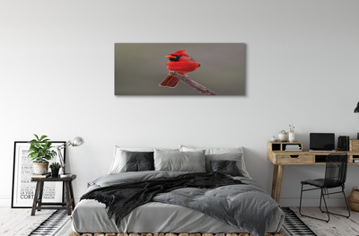 Foto op canvas Een rode papegaai op een tak