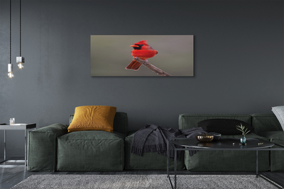 Foto op canvas Een rode papegaai op een tak