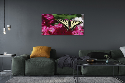 Foto op canvas Vlinderbloemen