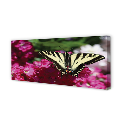 Foto op canvas Vlinderbloemen