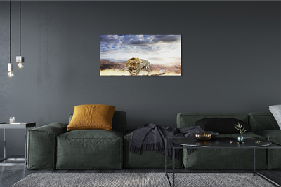 Schilderijen op canvas doek Panther-wolken