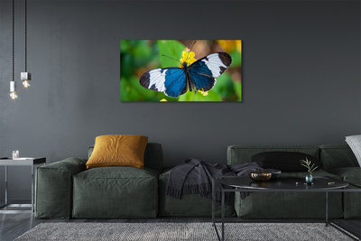 Foto op canvas Kleurrijke vlinder op bloemen