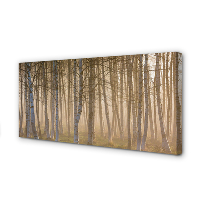 Schilderij canvas Sunrise forest tree