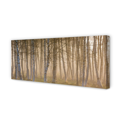Schilderij canvas Sunrise forest tree