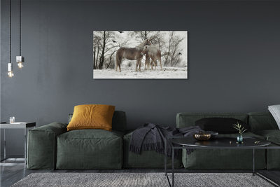Foto op canvas Winter bos eenhoorn