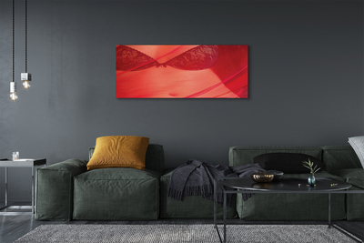 Schilderijen op canvas doek Een vrouw onder een rode tule