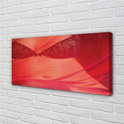 Schilderijen op canvas doek Een vrouw onder een rode tule
